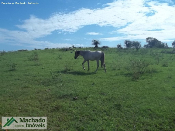 Imagem Imóvel à Venda, 200.000 m² em Rural - São Sepé Imagem Imóvel à Venda, 200.000 m² em Rural - São Sepé