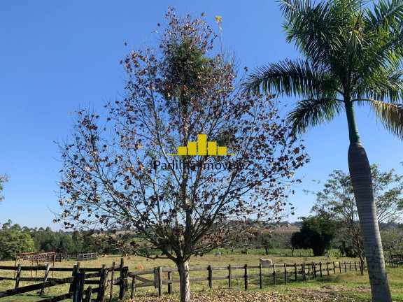 Imagem Chácara à Venda, 82.000 m² em Rural - Capela Do Alto