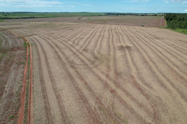 Fazenda à Venda, 74 m² em Zona Rural - Prata
