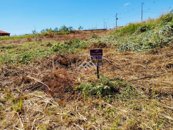 Imagem Fazenda à Venda, em Loteamento Dois Irmãos Ii - Primeiro De Maio Imagem Fazenda à Venda, em Loteamento Dois Irmãos Ii - Primeiro De Maio