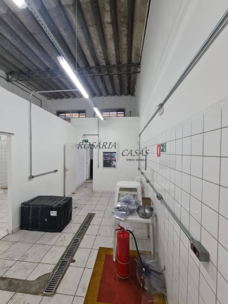 Imagem Galpão para Alugar, 204 m² em Santo Amaro - São Paulo Imagem Galpão para Alugar, 204 m² em Santo Amaro - São Paulo