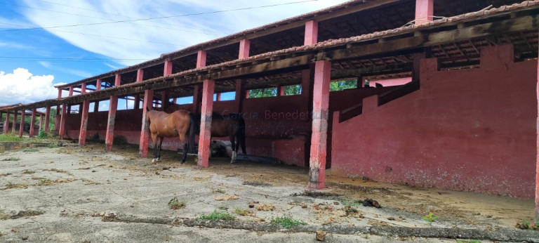 Imagem Imóvel com 7 Quartos à Venda, 1.297.120 m² em Vila Bom Jesus - Sorocaba Imagem Imóvel com 7 Quartos à Venda, 1.297.120 m² em Vila Bom Jesus - Sorocaba