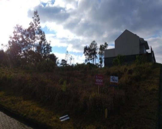 Terreno à Venda, 399 m² em Br 116 - Nova Petrópolis