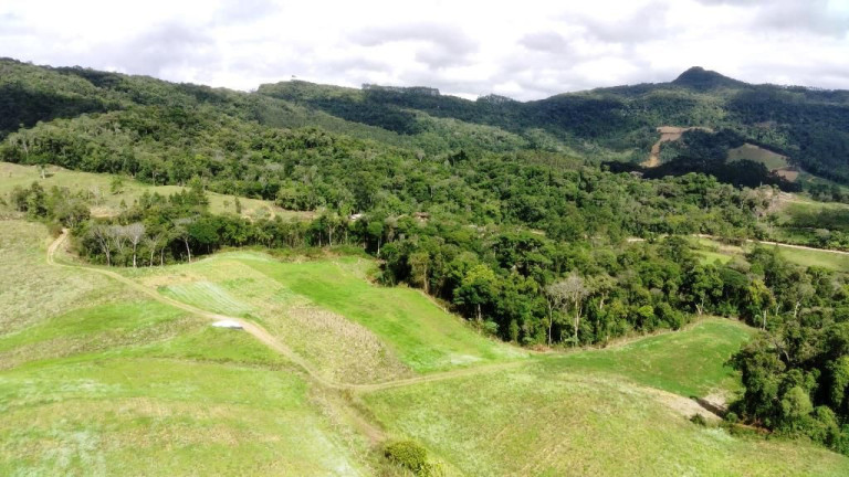 Imagem Imóvel com 6 Quartos à Venda, 250.000 m² em Zona Rural - Apiúna