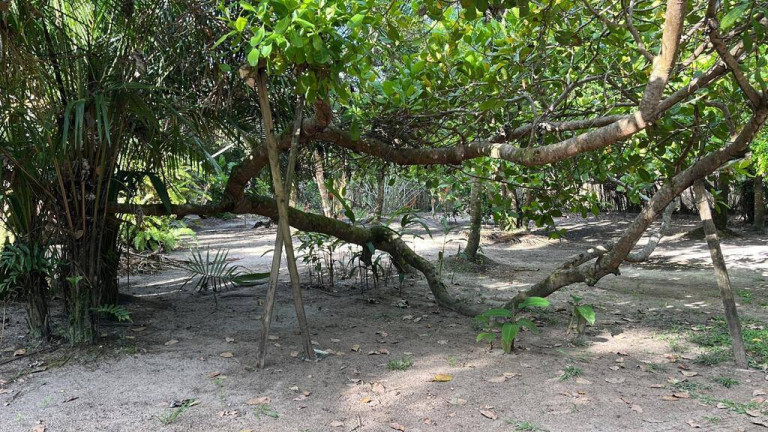 Imagem Terreno à Venda, em Arandis - Marau Imagem Terreno à Venda, em Arandis - Marau