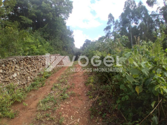 Imagem Imóvel à Venda, 5 m² em Bairro Não Informado - Ivoti Imagem Imóvel à Venda, 5 m² em Bairro Não Informado - Ivoti