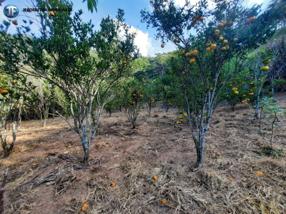 Imagem Chácara com 6 Quartos à Venda, 680.000 m² em Iapu Imagem Chácara com 6 Quartos à Venda, 680.000 m² em Iapu