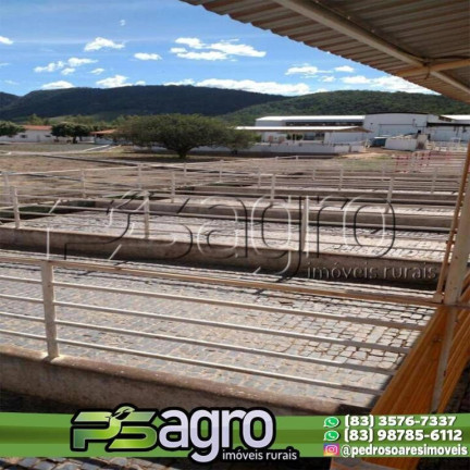 Imagem Fazenda à Venda, 6.000 m² em Loteamento Batel - Maringá Imagem Fazenda à Venda, 6.000 m² em Loteamento Batel - Maringá