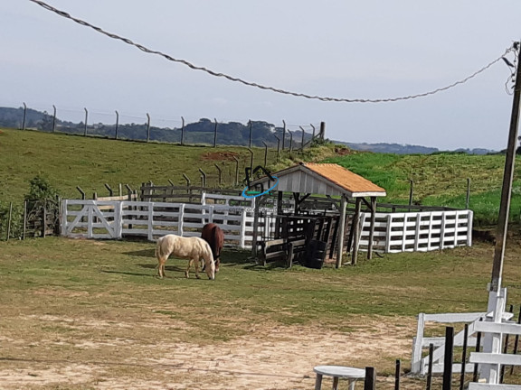 Imagem Imóvel à Venda, 346 m² em Jardim Veneza - Campo Magro Imagem Imóvel à Venda, 346 m² em Jardim Veneza - Campo Magro