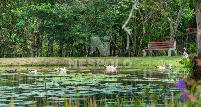 Imagem Terreno à Venda, em Rio Do Meio - Camboriu Imagem Terreno à Venda, em Rio Do Meio - Camboriu