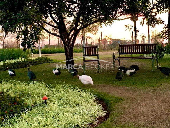 Imagem Fazenda à Venda, 150 m² em Baguaçu - Bilac Imagem Fazenda à Venda, 150 m² em Baguaçu - Bilac