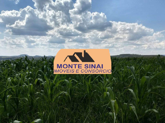 Imagem Fazenda à Venda, 59 m² em Centro - Guareí Imagem Fazenda à Venda, 59 m² em Centro - Guareí