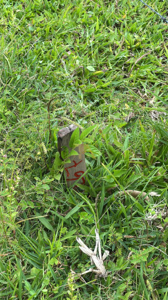 Imagem Terreno à Venda, em Ressacada - Garopaba Imagem Terreno à Venda, em Ressacada - Garopaba