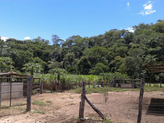 Imagem Imóvel com 3 Quartos à Venda, 1.000 m² em Zona Rural - Baldim