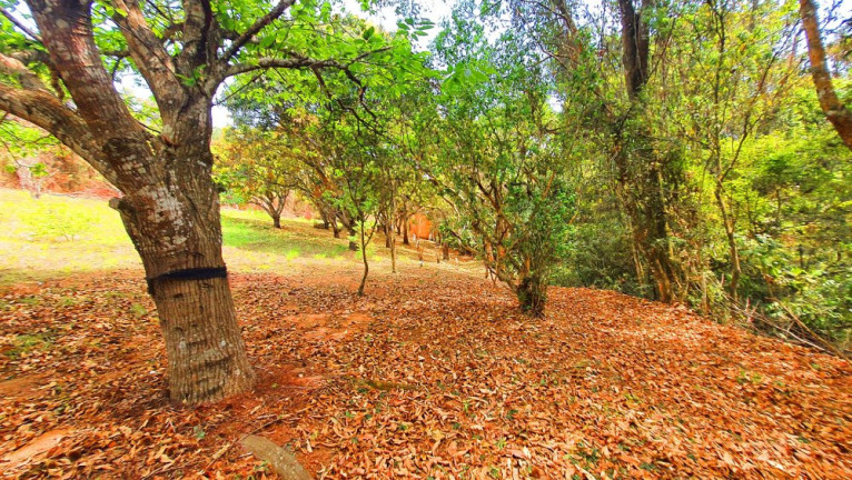 Imagem Imóvel à Venda, 557 m² em Loteamento Bosque Dos Palmares - Atibaia Imagem Imóvel à Venda, 557 m² em Loteamento Bosque Dos Palmares - Atibaia
