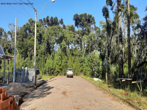 Imagem Terreno à Venda, 811 m² em Germânia - Nova Petrópolis Imagem Terreno à Venda, 811 m² em Germânia - Nova Petrópolis