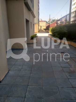 Imagem Apartamento com 2 Quartos à Venda, 55 m² em Vila Bancária - São Paulo Imagem Apartamento com 2 Quartos à Venda, 55 m² em Vila Bancária - São Paulo