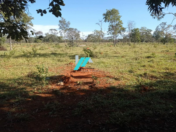 Imagem Fazenda à Venda, 25 m² em Zona Rural - Curvelo Imagem Fazenda à Venda, 25 m² em Zona Rural - Curvelo