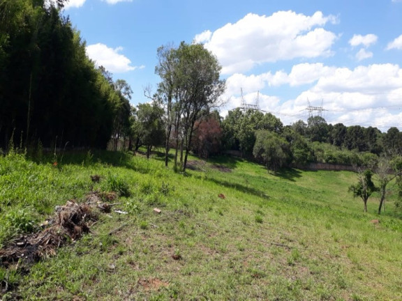 Terreno à Venda, 125.000 m² em Thomaz Coelho - Araucária