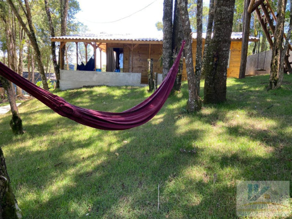 Imagem Chácara com 2 Quartos à Venda, 2.800 m² em Barro Preto - São José Dos Pinhais