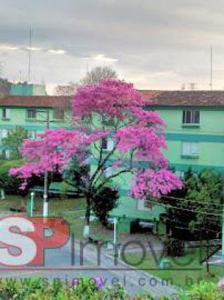 Imagem Apartamento com 2 Quartos à Venda, 48 m² em Jardim São Luís - São Paulo Imagem Apartamento com 2 Quartos à Venda, 48 m² em Jardim São Luís - São Paulo