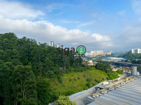 Imagem Apartamento com 4 Quartos à Venda, 201 m² em Vila Andrade - São Paulo Imagem Apartamento com 4 Quartos à Venda, 201 m² em Vila Andrade - São Paulo