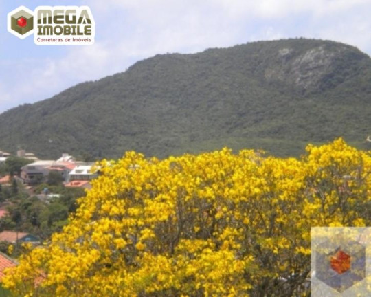 Imagem Imóvel Comercial à Venda, 300 m² em Santinho - Florianópolis Imagem Imóvel Comercial à Venda, 300 m² em Santinho - Florianópolis
