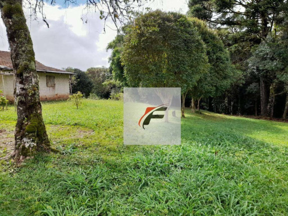 Imagem Chácara com 3 Quartos à Venda, 20.000 m² em Colônia Malhada - São José Dos Pinhais Imagem Chácara com 3 Quartos à Venda, 20.000 m² em Colônia Malhada - São José Dos Pinhais