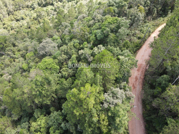 Imagem Terreno à Venda, 5.820 m² em Região Do Parque Da água Santa - Campos Do Jordão