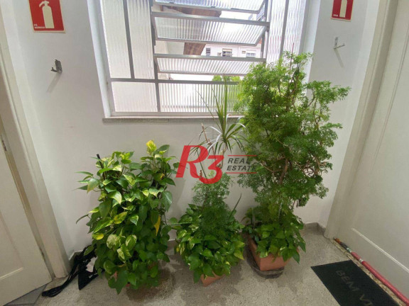 Imagem Apartamento com 2 Quartos à Venda, 57 m² em Campo Grande - Santos Imagem Apartamento com 2 Quartos à Venda, 57 m² em Campo Grande - Santos