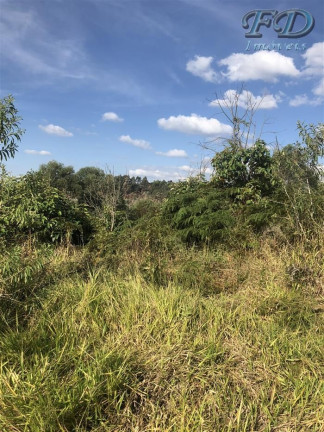 Imagem Terreno à Venda, 61.861 m² em Terra Preta (terra Preta) - Mairiporã Imagem Terreno à Venda, 61.861 m² em Terra Preta (terra Preta) - Mairiporã
