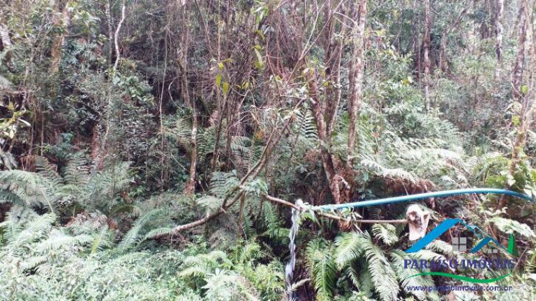 Imagem Terreno à Venda, 38 m² em Centro - Gonçalves