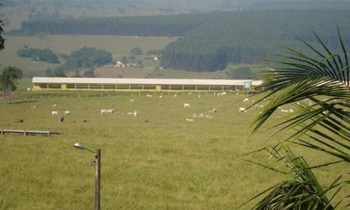Imagem Fazenda à Venda, 98 m² em Serra De Botucatu - Bofete Imagem Fazenda à Venda, 98 m² em Serra De Botucatu - Bofete
