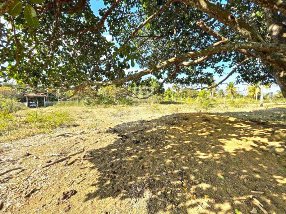 Imagem Terreno à Venda, 117.000 m² em Lameirão - Guarapari