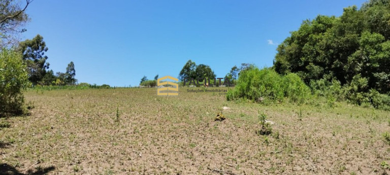 Imagem Imóvel com 2 Quartos à Venda, 20.000 m² em Reserva - Morro Redondo