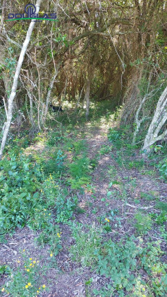 Imagem Terreno à Venda, 2.400 m² em Viamão Imagem Terreno à Venda, 2.400 m² em Viamão