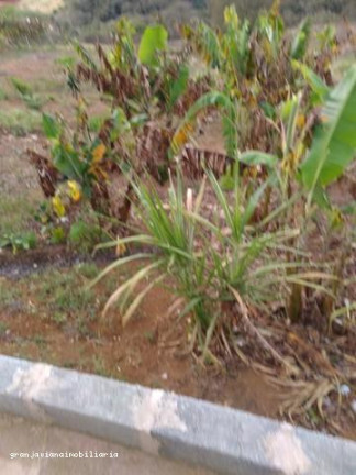 Imagem Chácara à Venda, em Consultar - Ibiúna Imagem Chácara à Venda, em Consultar - Ibiúna
