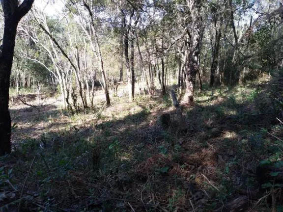 Imagem Imóvel com 4 Quartos à Venda, 24.200 m² em água Azul - Lapa