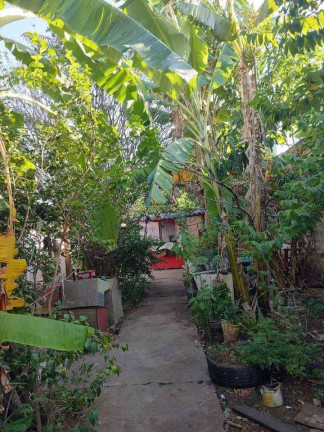 Imagem Casa com 4 Quartos à Venda, 360 m² em Vila Santa Fé - Pirassununga