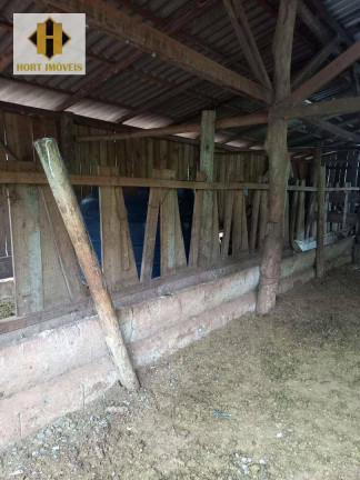 Imagem Chácara com 3 Quartos à Venda, 145.000 m² em Santo Antônio - Chapecó
