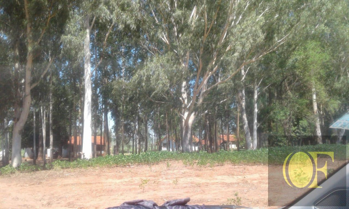 Imagem Fazenda à Venda, 793 m² em Rural - Ivinhema Imagem Fazenda à Venda, 793 m² em Rural - Ivinhema