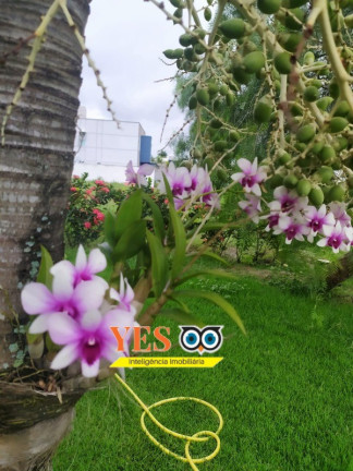 Imagem Casa com 4 Quartos à Venda, 600 m² em Papagaio - Feira De Santana