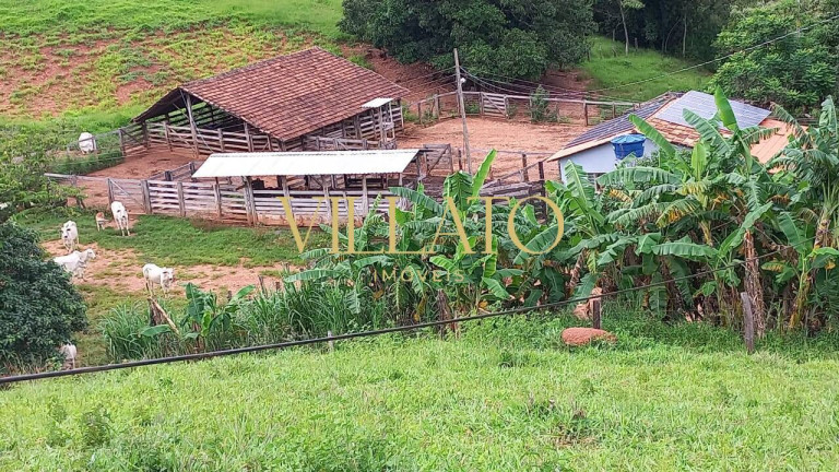 Imagem Chácara com 3 Quartos à Venda, 100 m² em Uruaçu