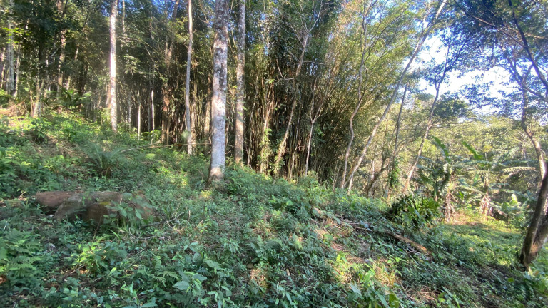 Imagem Terreno à Venda, 172.989 m² em Ressacada - Garopaba Imagem Terreno à Venda, 172.989 m² em Ressacada - Garopaba