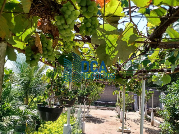 Imagem Chácara com 2 Quartos à Venda, 280 m² em Granja Bela Vista - Taubaté