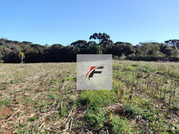 Imagem Terreno à Venda, 15.524 m² em Ganchinho - Curitiba Imagem Terreno à Venda, 15.524 m² em Ganchinho - Curitiba