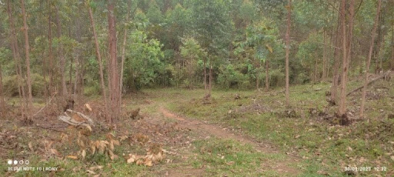 Imagem Chácara com 2 Quartos à Venda, 150 m² em Centro - Paraibuna Imagem Chácara com 2 Quartos à Venda, 150 m² em Centro - Paraibuna