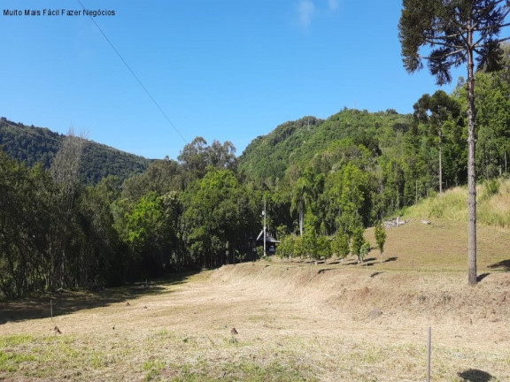 Terreno à Venda, 150 m² em Linha Araripe - Nova Petrópolis