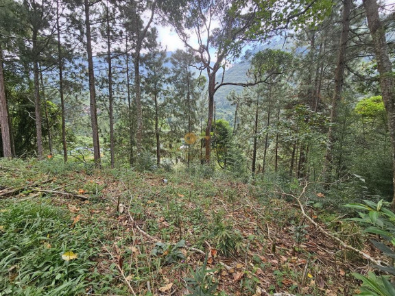 Imagem Terreno à Venda, 670 m² em Cascata Dos Amores - Teresópolis Imagem Terreno à Venda, 670 m² em Cascata Dos Amores - Teresópolis