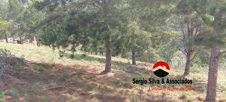 Imagem Terreno à Venda, 1.048 m² em Atalaia - Campos Do Jordão Imagem Terreno à Venda, 1.048 m² em Atalaia - Campos Do Jordão